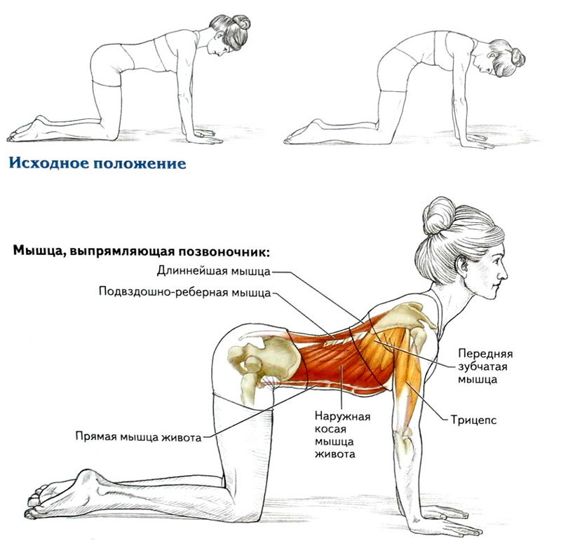 Омолаживающие 8 упражнений для укрепления спины