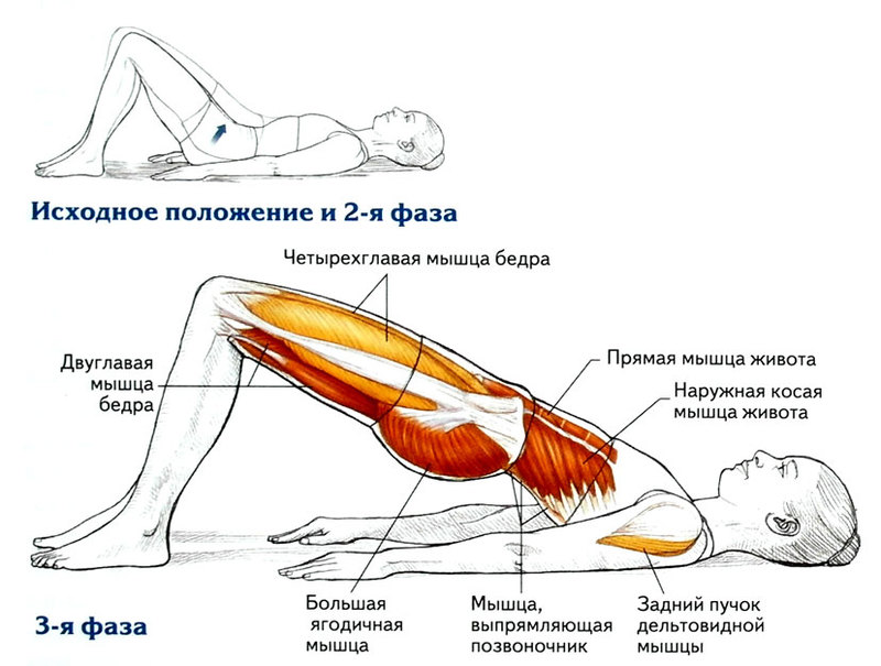 Омолоджуючі 8 вправ для зміцнення м'язів спини
