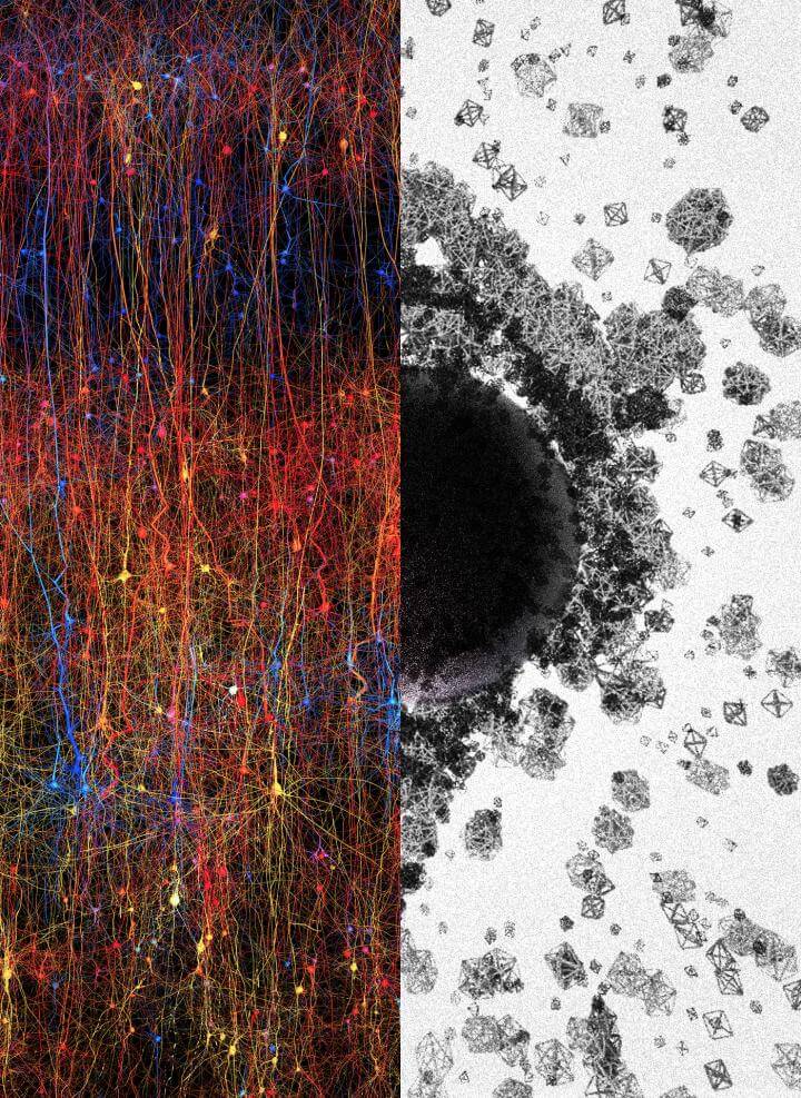 Ученые: в нашем мозгу обнаружена Многомерная Вселенная
